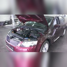 Упоры капота (комплект) Skoda Octavia 2013 - 2019