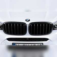Решетка радиатора Performance BMW X 6 (F 16)