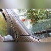 Водосток лобового стекла Toyota RAV4 2019-н.в.