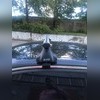 Багажник на крышу за дверной проём, модель "Аэро" Ford Kuga 2012-2019 (с секреткой)