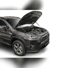 Упоры капота (комплект) для Toyota Rav 4 2020+