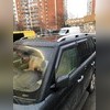 Рейлинги Land Rover Range Rover 2002 - 2012 (OEМ) серебро