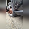 Комплект брызговиков OEM (без оригинальных порогов) Mercedes-Benz GLA-Class X156 2014-2020