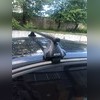 Багажник на крышу за дверной проём (прямоугольные поперечины) Renault Kaptur 2016-нв (с секреткой)