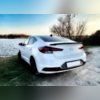 Спойлер крышки багажника Hyundai Elantra 2018-2020 (чёрный)