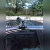 Багажник на крышу за дверной проём (прямоугольные поперечины) Toyota Corolla 2006-2013 (с секреткой)