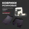 Коврики резиновые в салон Scania R 2004-нв "3D Premium" (комплект)
