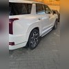 Брызговики Hyundai Palisade 2020-нв (с порогами)