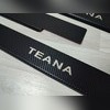 Накладки на пороги "Premium Carbon" Nissan Teana 2008-2013