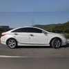 Молдинги на двери Hyundai Sonata VI 2009-2014 ( ABS хром)